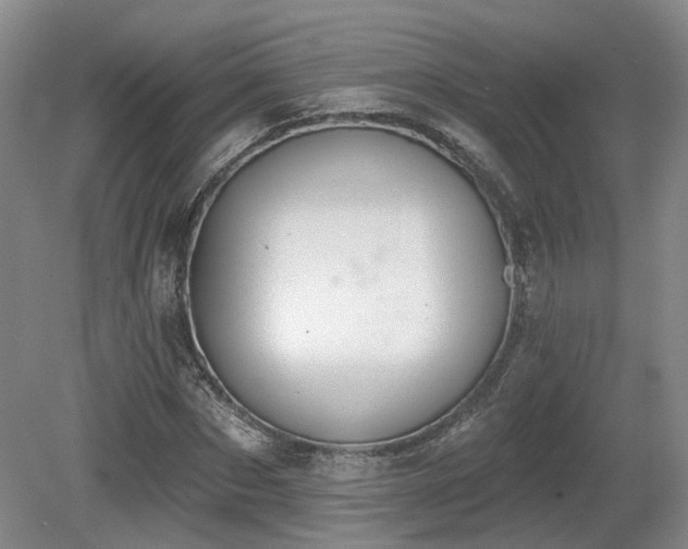 X0000080670873200612151154