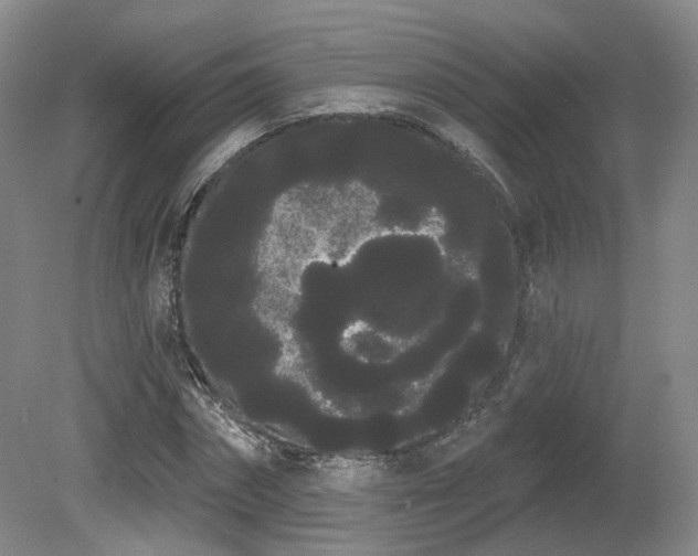 X0000080670874200612151154