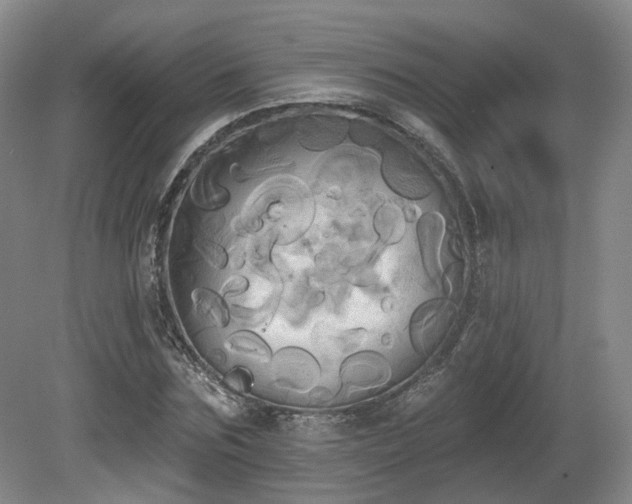 X0000080670875200612151154