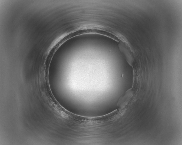 X0000080670877200612151154