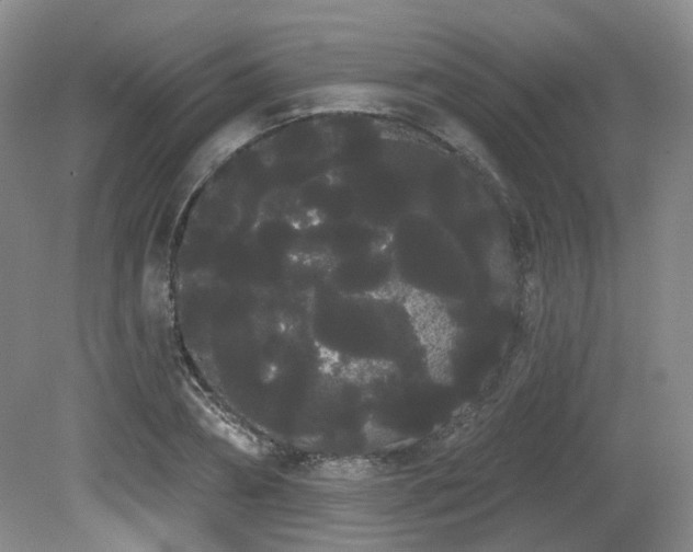 X0000080670882200612151154