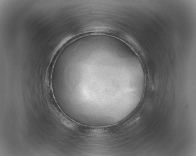 X0000080670883200612151154