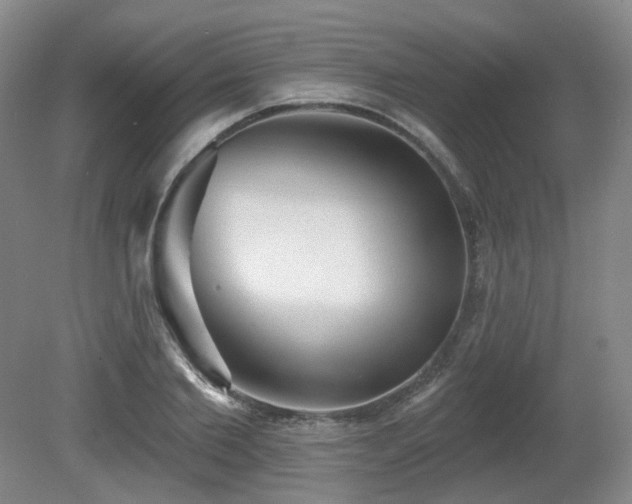 X0000080670885200612151154