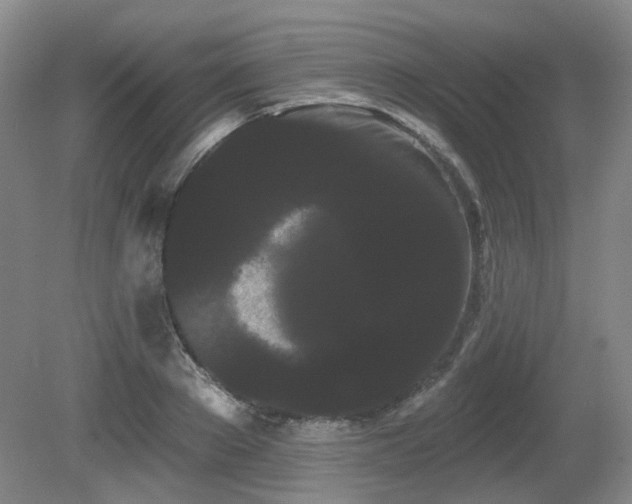 X0000080670889200612151154