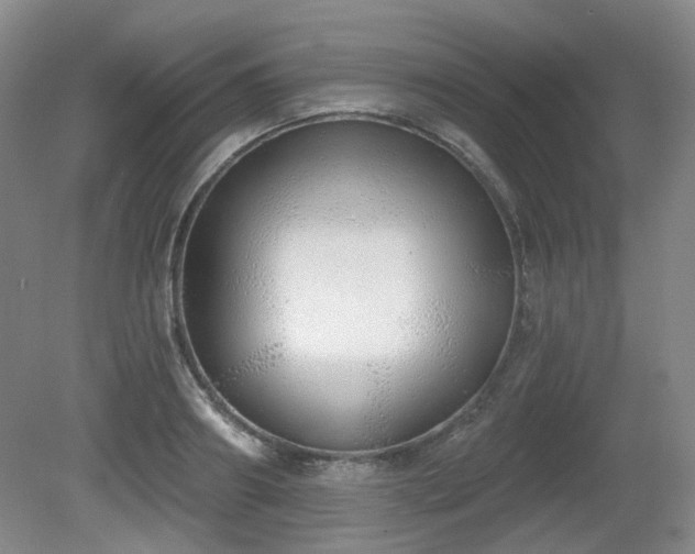 X0000080670890200612151154