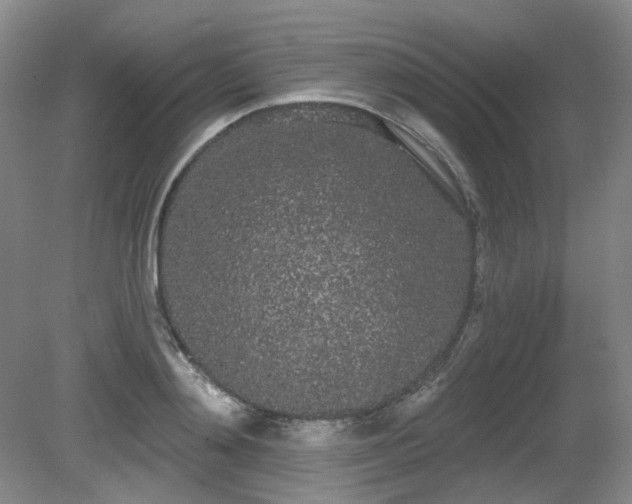 X0000080670892200612151154