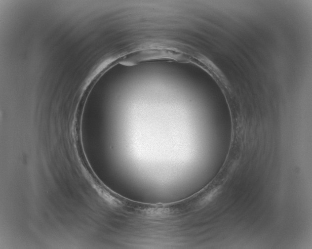 X0000080670893200612151154