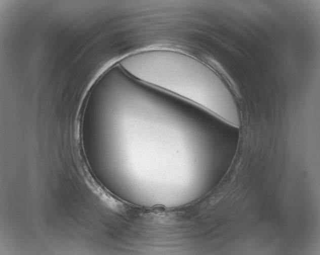 X0000080670900200612151154