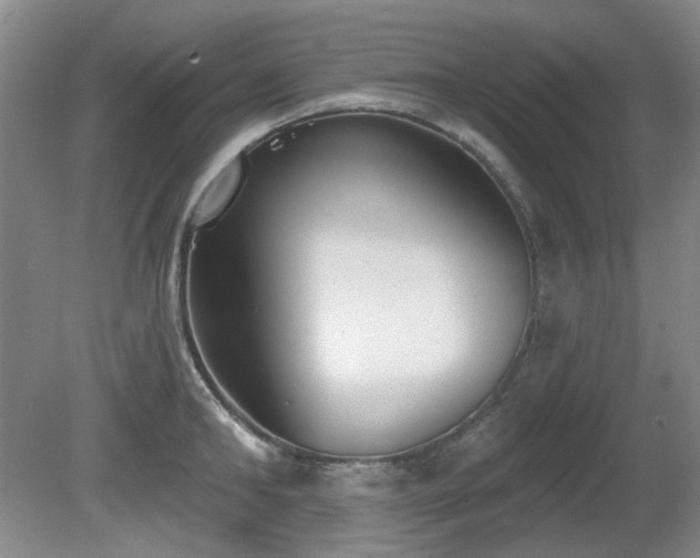 X0000080670902200612151154