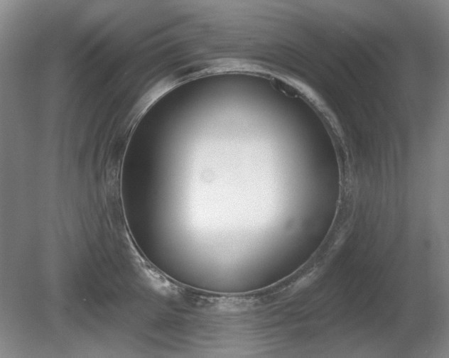 X0000080670905200612151154