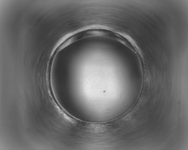 X0000080670910200612151153