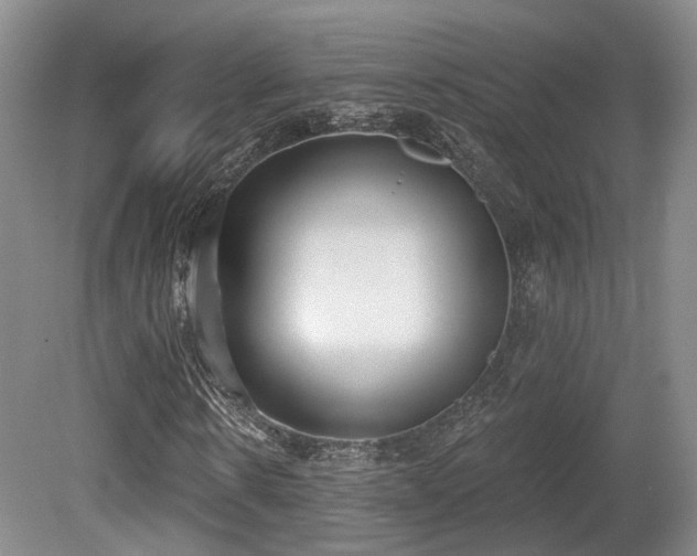 X0000080670914200612151153