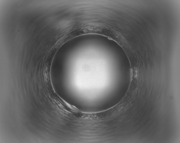 X0000080670915200612151153