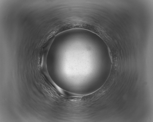 X0000080670916200612151153