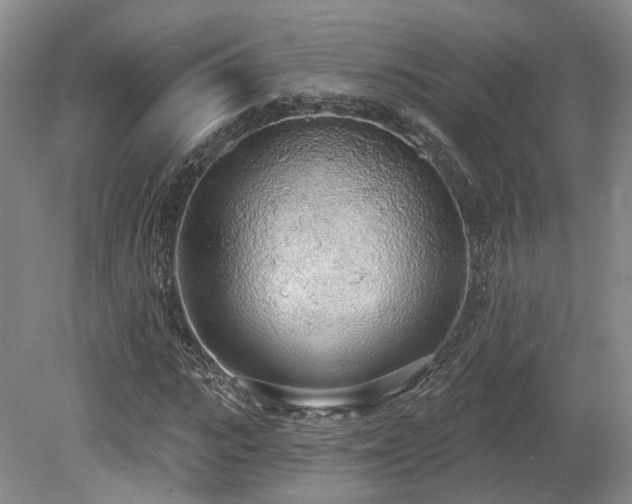 X0000080670919200612151153