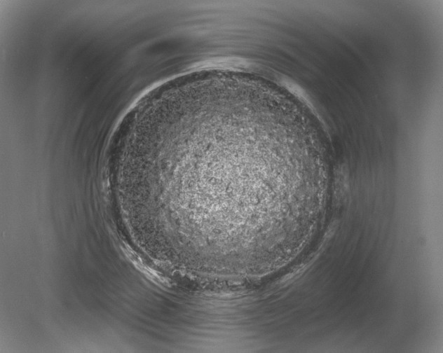X0000080670923200612151153