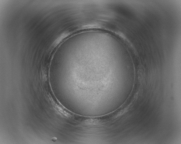 X0000080670929200612151153