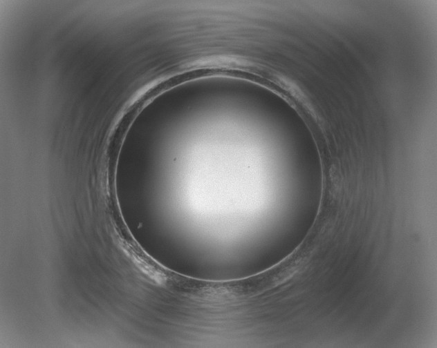 X0000080670931200612151153