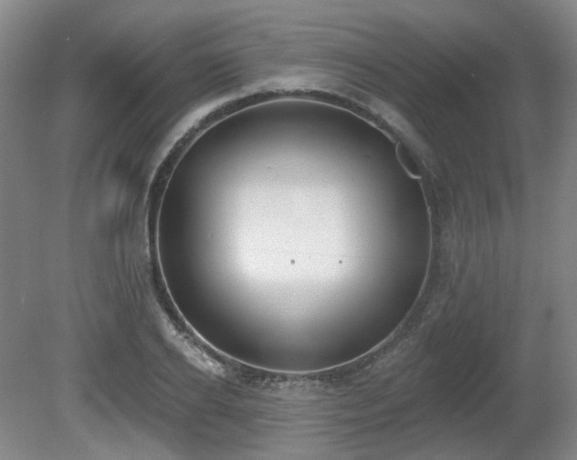 X0000080670934200612151153