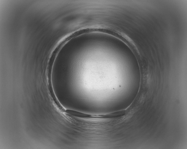 X0000080670935200612151153