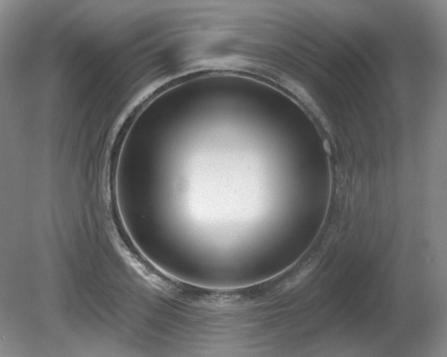 X0000080670939200612151153