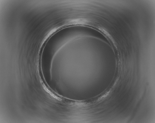 X0000080670941200612151153
