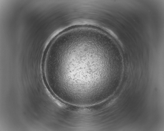 X0000080670943200612151153