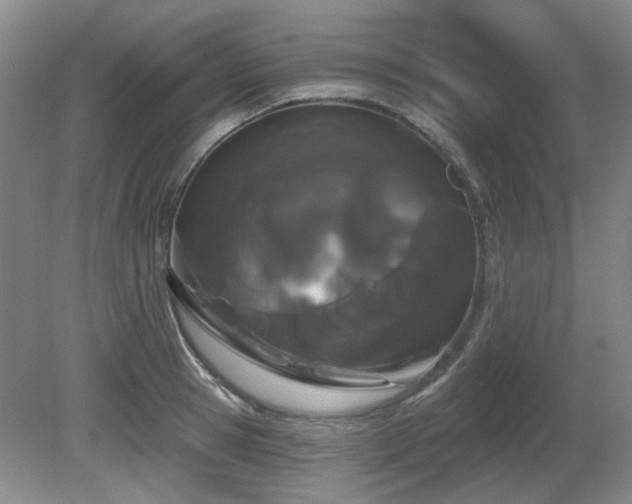 X0000080670945200612151153