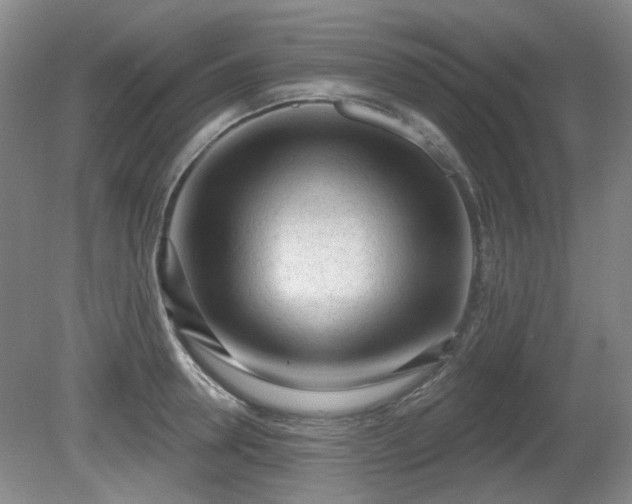 X0000080670946200612151153