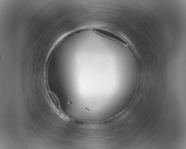 X0000080670948200612151153