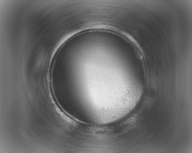 X0000080670951200612151153