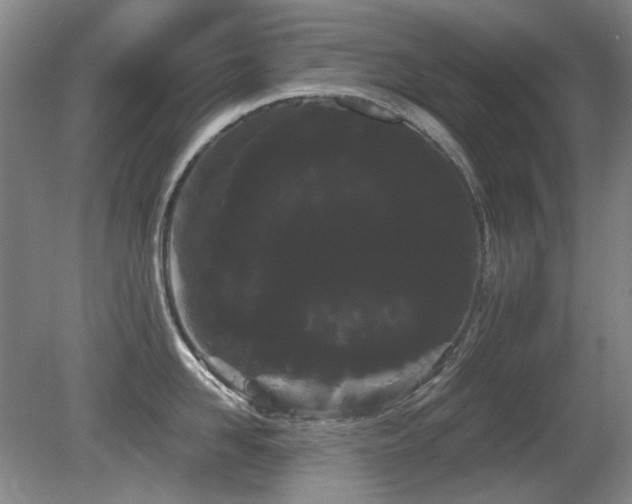 X0000080670958200612151153
