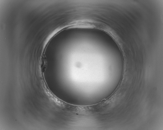 X0000080670960200612151153