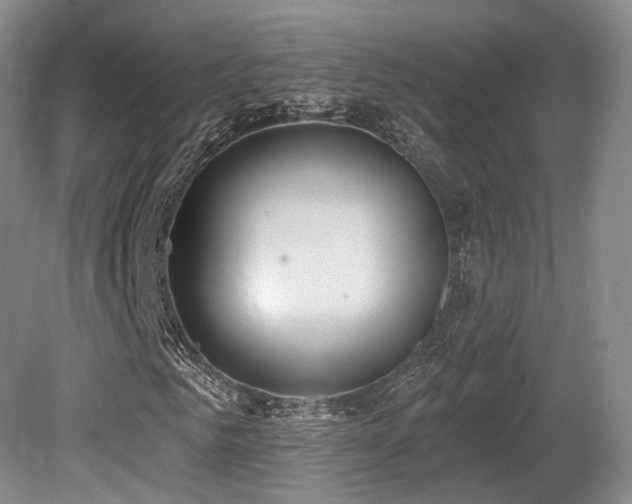 X0000080670961200612151153