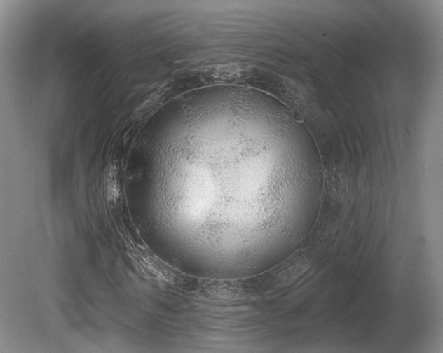 X0000080670962200612151153