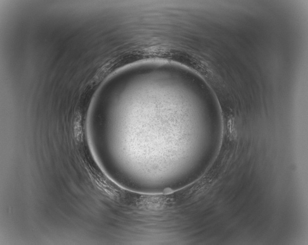 X0000080670963200612151153