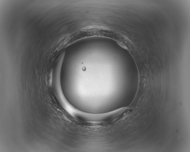 X0000080670965200612151153