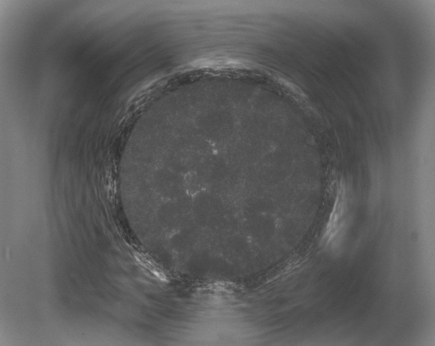 X0000080670966200612151153