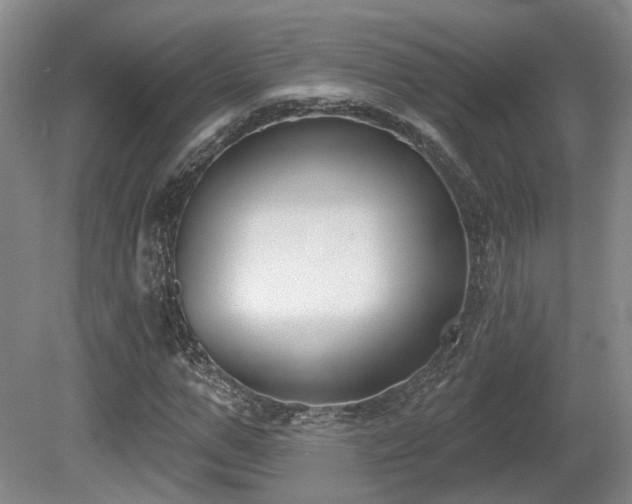 X0000080670967200612151152