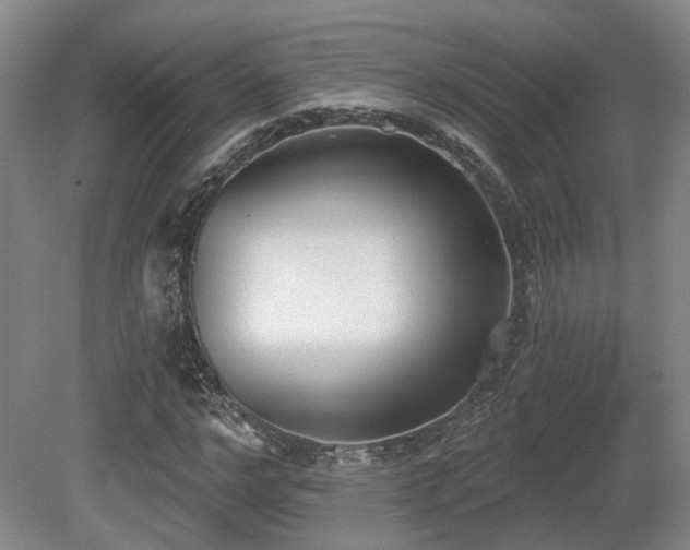X0000080670968200612151152