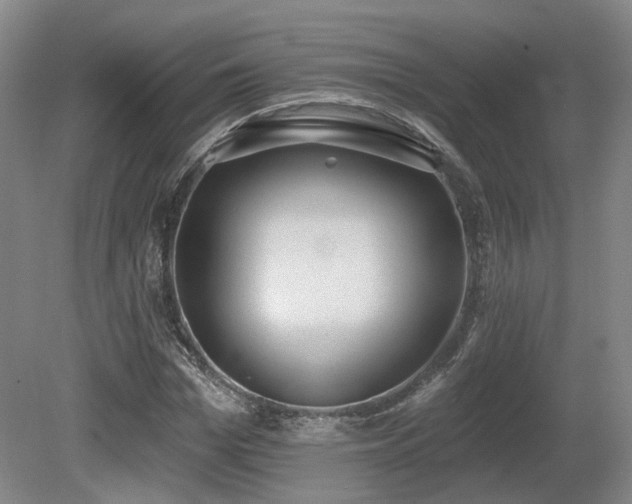X0000080670969200612151152