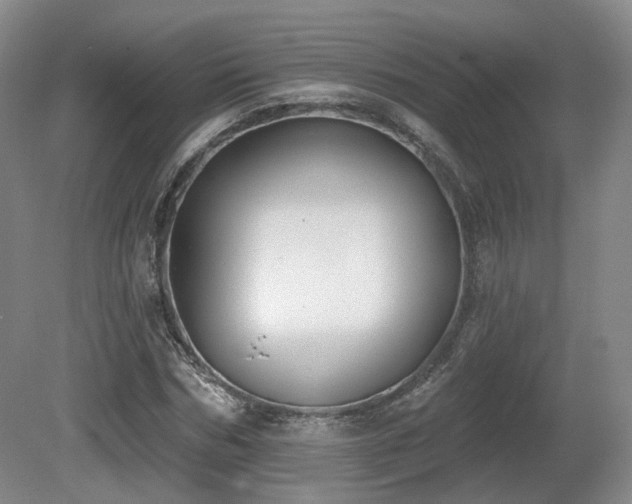 X0000080670970200612151152