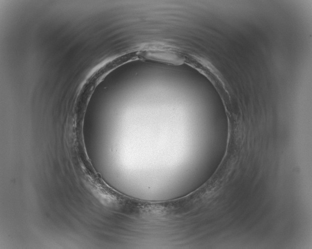 X0000080670971200612151152