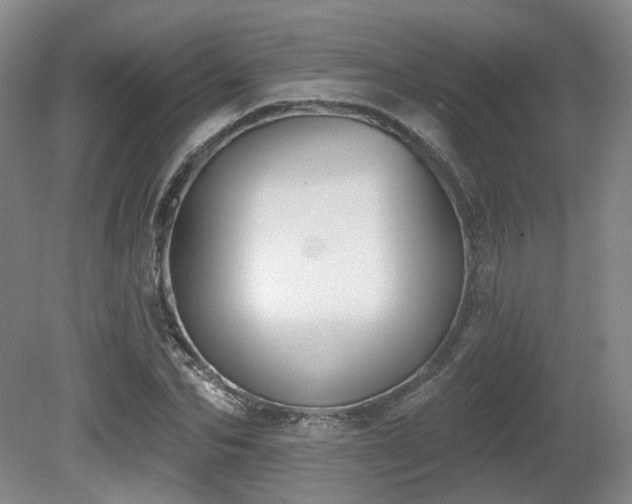 X0000080670974200612151152