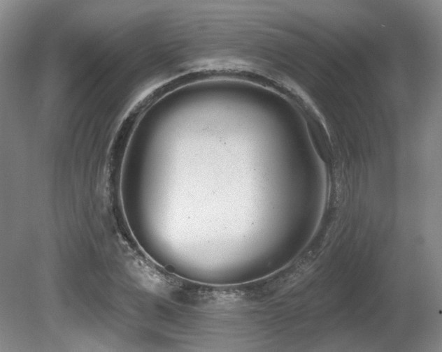X0000080670975200612151152