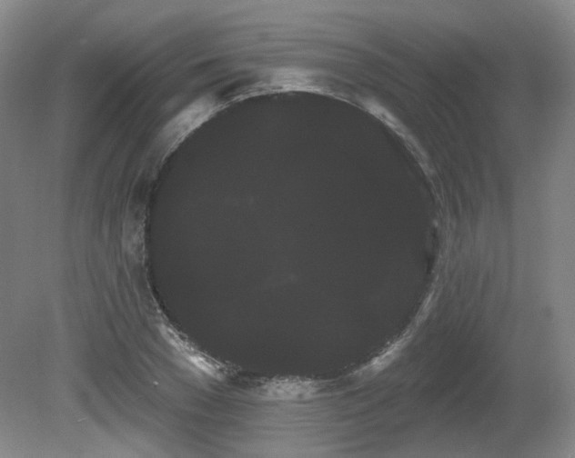 X0000080670977200612151152