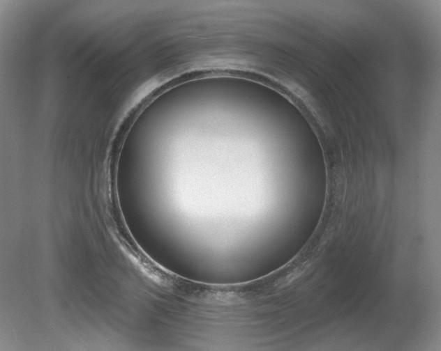 X0000080670982200612151152