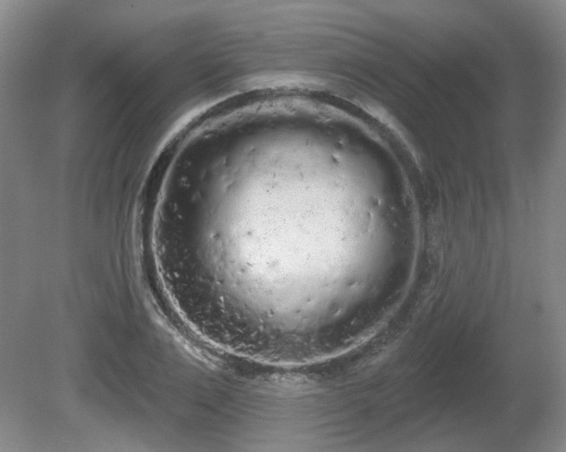 X0000080670983200612151152