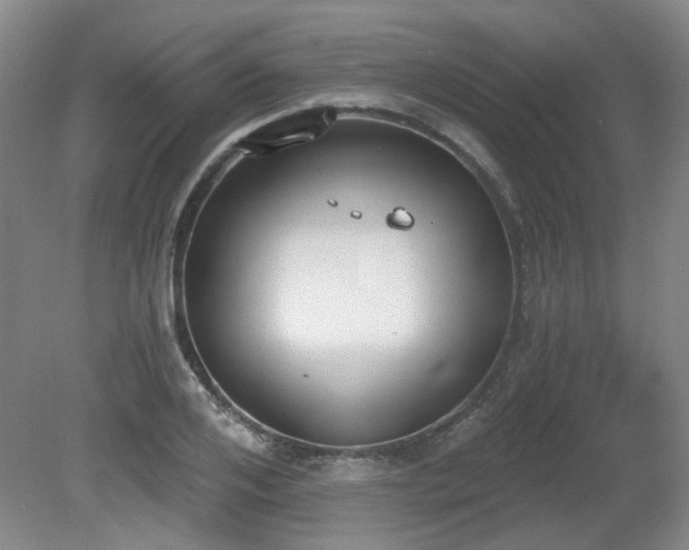 X0000080670984200612151152