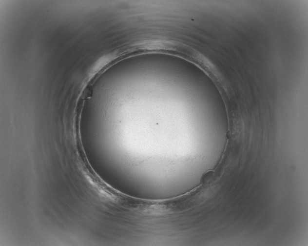 X0000080670986200612151152